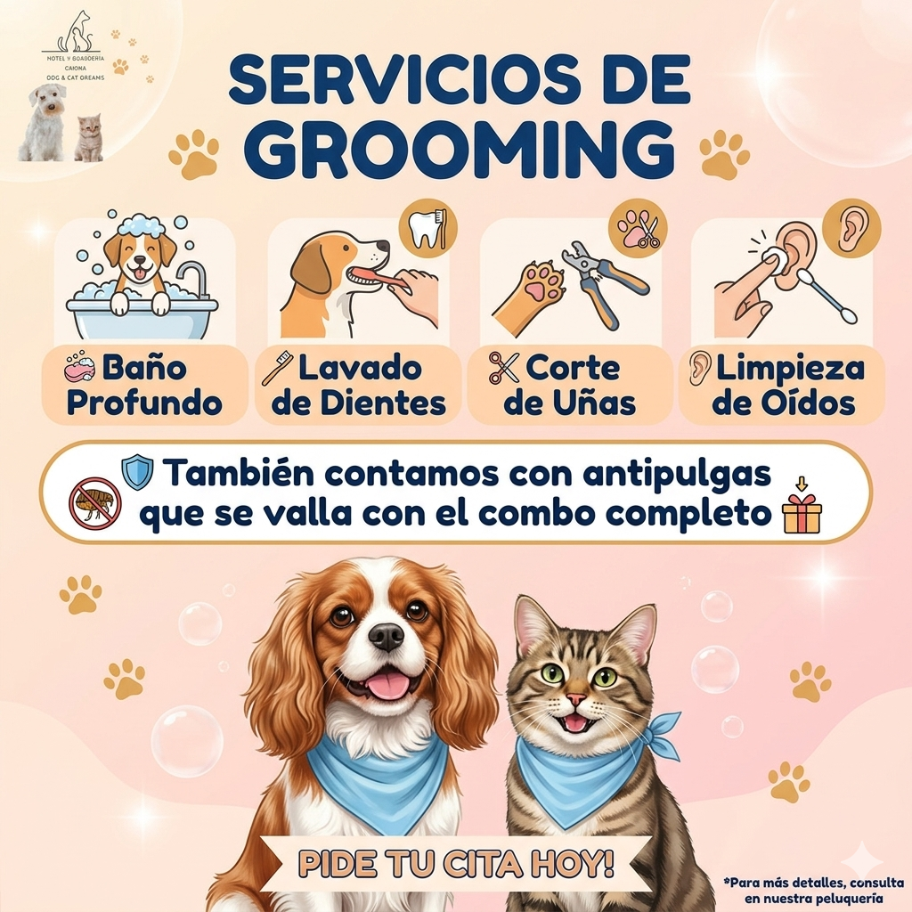 Contamos con grooming para nuestras mascotas para que salgan
