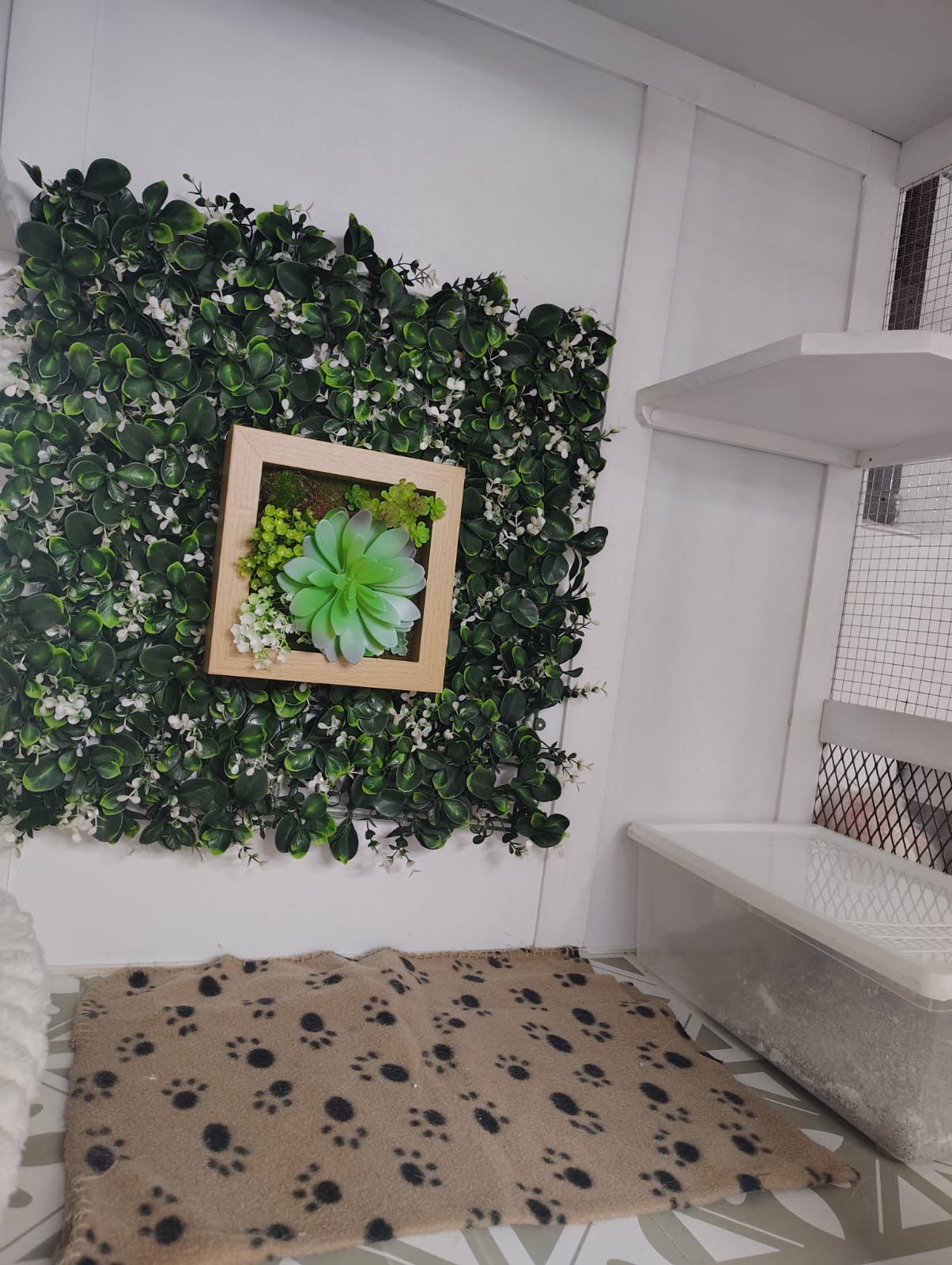 Hotel para gatos